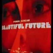 Le texte musical I LOVE TO HURT (YOU LOVE TO BE HURT) de PRIMAL SCREAM est également présent dans l'album Beautiful future (2008)
