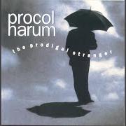 Le texte musical LEARN TO FLY de PROCOL HARUM est également présent dans l'album The prodigal stranger (1991)