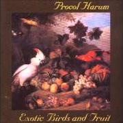 Le texte musical FRESH FRUIT de PROCOL HARUM est également présent dans l'album Exotic birds and fruit (1974)