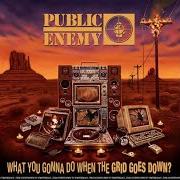 Le texte musical PUBLIC ENEMY NUMBER WON de PUBLIC ENEMY est également présent dans l'album What you gonna do when the grid goes down? (2020)