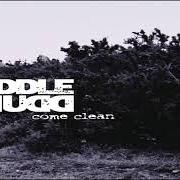 Le texte musical SAID de PUDDLE OF MUDD est également présent dans l'album Come clean (2001)