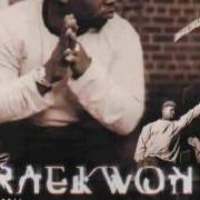 Le texte musical POWER de RAEKWON est également présent dans l'album Immobilarity (1999)