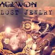 Le texte musical HOLD YOU DOWN de RAEKWON est également présent dans l'album Lost jewlry ep (2013)