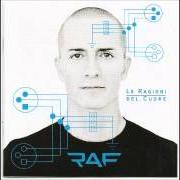 Le texte musical DIMENTICA de RAF est également présent dans l'album Le ragioni del cuore (2012)