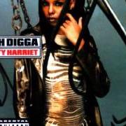 Le texte musical INTRO de RAH DIGGA est également présent dans l'album Dirty harriet (2000)