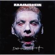 Le texte musical BESTRAFE MICH de RAMMSTEIN est également présent dans l'album Sehnsucht (1997)