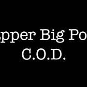 Le texte musical REARVIEW MIRROR de RAPPER BIG POOH est également présent dans l'album The delightful bars: north american pie version (2009)