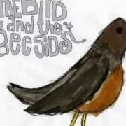 Le texte musical AT LEAST WE MADE IT THIS FAR de RELIENT K est également présent dans l'album The bird and the bee sides (2008)