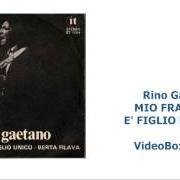 Le texte musical SPENDI SPANDI EFFENDI de RINO GAETANO est également présent dans l'album Figlio unico (disc.1) (2007)