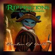 Le texte musical AFFAIR IN SAN MIGUEL de RIPPINGTONS est également présent dans l'album Best of the rippingtons (1999)