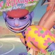 Le texte musical CRUISIN' DOWN OCEAN DRIVE de RIPPINGTONS est également présent dans l'album Life in the tropics (2001)
