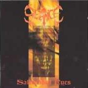 Le texte musical SALTRUBBED EYES de SEANCE est également présent dans l'album Saltrubbed eyes (1993)