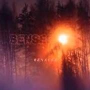 Le texte musical RENACER de SENSES FAIL est également présent dans l'album Renacer (2013)