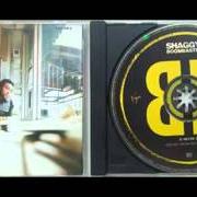 Le texte musical GAL YU A PEPPER de SHAGGY est également présent dans l'album Boombastic (1995)