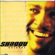 Le texte musical CHICA BONITA de SHAGGY est également présent dans l'album Hot shot (2000)