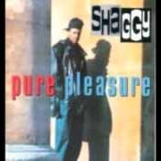 Le texte musical AH-E-A-OH de SHAGGY est également présent dans l'album Pure pleasure (1993)