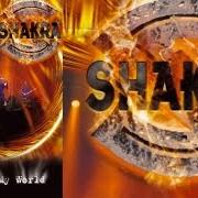 Le texte musical MAKE IT ALRIGHT de SHAKRA est également présent dans l'album Fall (2005)