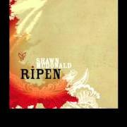 Le texte musical RAMBLINGS OF A BEGGAR de SHAWN MCDONALD est également présent dans l'album Ripen (2006)