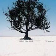 Le texte musical YOU ARE THE ONE de SHINY TOY GUNS est également présent dans l'album We are pilots (2006)