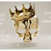Le texte musical ALKOHOL de SIDO est également présent dans l'album Das goldene album (2016)