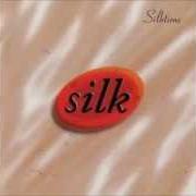 Le texte musical MORE de SILK est également présent dans l'album Silktime (2003)