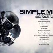 Le texte musical WATERFRONT de SIMPLE MINDS est également présent dans l'album The best of simple minds (2003)