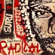 Le texte musical I'M A WINNER de SIZZLA est également présent dans l'album Radical (2014)