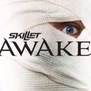Le texte musical FORGIVEN de SKILLET est également présent dans l'album Awake (2009)