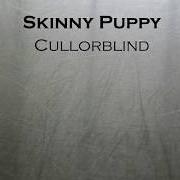 Le texte musical WAVY de SKINNY PUPPY est également présent dans l'album Handover (2011)