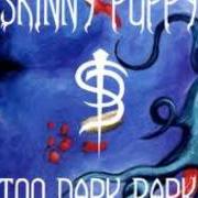 Le texte musical RASH REFLECTION de SKINNY PUPPY est également présent dans l'album Too dark park (1990)