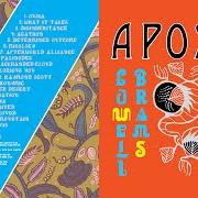 Le texte musical AFTERWORLD ALLIANCE de SUFJAN STEVENS est également présent dans l'album Aporia (2020)