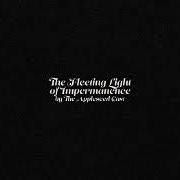 Le texte musical TIME THE DESTROYER de THE APPLESEED CAST est également présent dans l'album The fleeting light of impermanence (2019)
