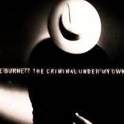 Le texte musical HUMANS FROM EARTH de T-BONE BURNETT est également présent dans l'album The criminal under my own hat (1992)