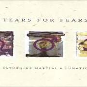 Le texte musical EMPIRE BUILDING de TEARS FOR FEARS est également présent dans l'album Saturnine martial and lunatic (1996)