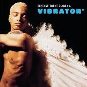 Le texte musical C.Y.F.M.L.A.Y? de TERENCE TRENT D'ARBY est également présent dans l'album Vibrator (1995)