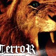 Le texte musical KICKBACK de TERROR est également présent dans l'album Rhythm amongst the chaos (ep)