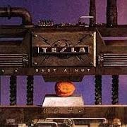 Le texte musical THE GATE de TESLA est également présent dans l'album Bust a nut (1994)