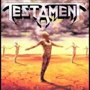 Le texte musical THE NEW ORDER de TESTAMENT est également présent dans l'album The best of testament (1996)