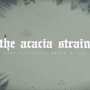 Le texte musical ONE THOUSAND PAINFUL STINGS de THE ACACIA STRAIN est également présent dans l'album Slow decay (2020)