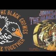 Le texte musical MISTY MOUNTAIN HOP de THE BLACK CROWES est également présent dans l'album Live at the greek (2000)