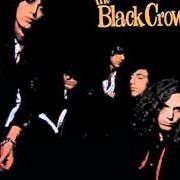 Le texte musical THICK & THIN de THE BLACK CROWES est également présent dans l'album Shake your moneymaker (1990)