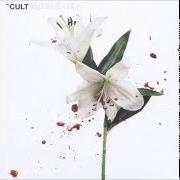 Le texte musical LILIES de THE CULT est également présent dans l'album Hidden city (2016)
