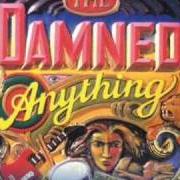 Le texte musical GIGOLO de THE DAMNED est également présent dans l'album Anything (1986)