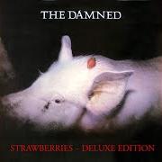 Le texte musical CITADEL ZOMBIES de THE DAMNED est également présent dans l'album Strawberries (1982)