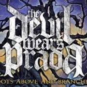 Le texte musical BIG WIGGLY STYLE de THE DEVIL WEARS PRADA est également présent dans l'album With roots above and branches below (2009)