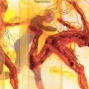Le texte musical BAD AMBASSADOR de THE DIVINE COMEDY est également présent dans l'album Regeneration (2001)