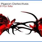 Le texte musical STOP OR GO de THE PIGEON DETECTIVES est également présent dans l'album Wait for me (2007)