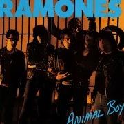 Le texte musical SOMETHING TO BELIEVE IN de RAMONES est également présent dans l'album Animal boy (1986)