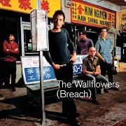 Le texte musical MURDER 101 de THE WALLFLOWERS est également présent dans l'album Breach (2000)
