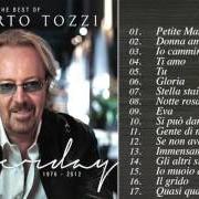 Le texte musical IO CAMMINERO' de UMBERTO TOZZI est également présent dans l'album Le mie canzoni (1991)